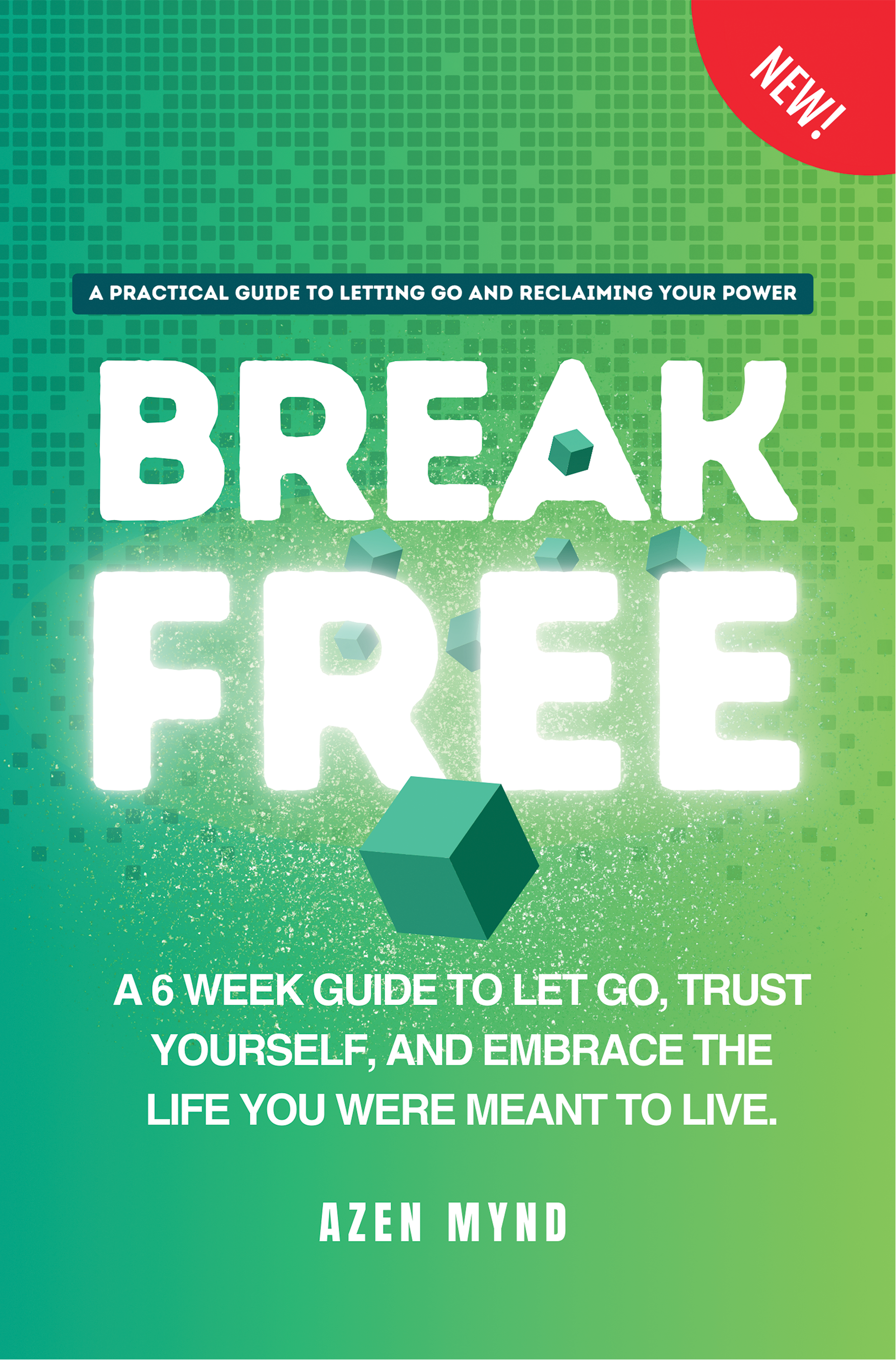Break Free - A 6 week guide to Let Go, Trust Yourself and Embrace the Life you were meant to Live cover
